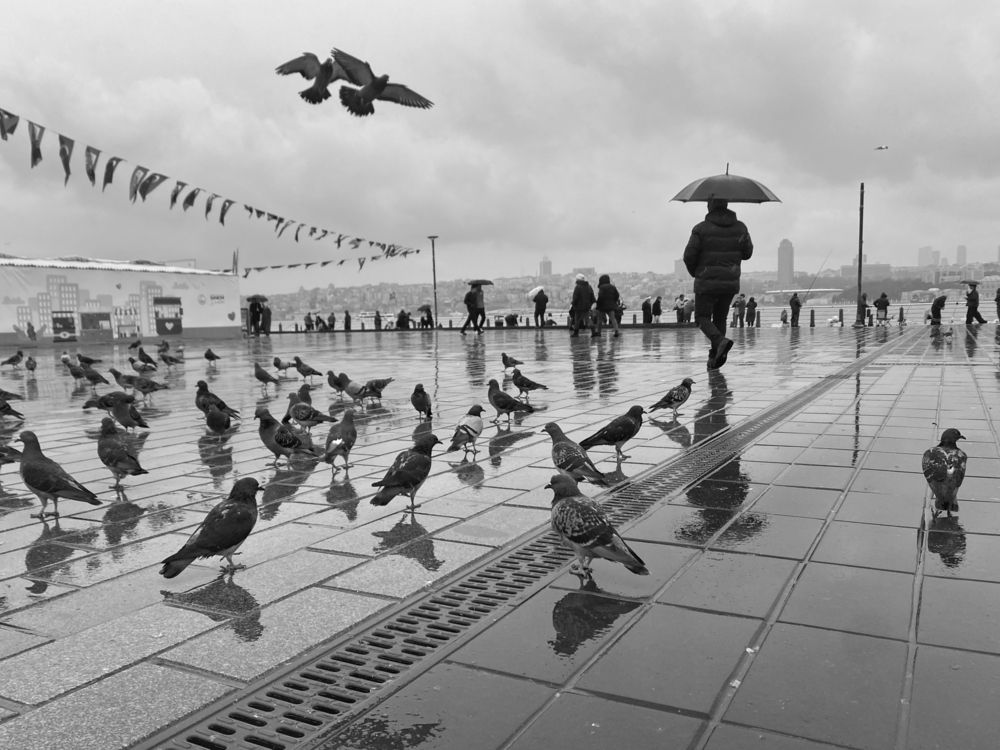 Photograph by Soner Arkan