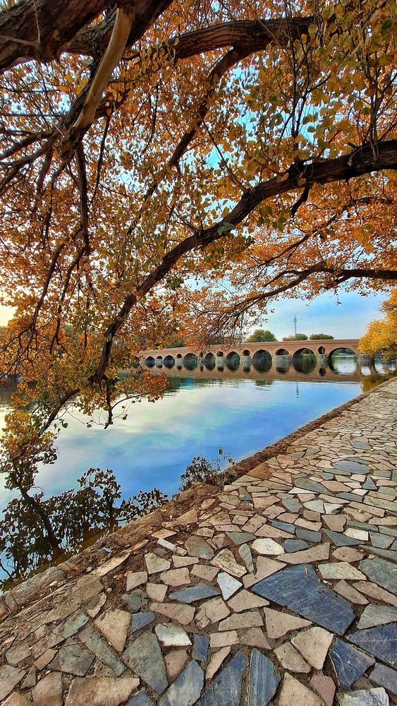 Photograph by Sina Saadati