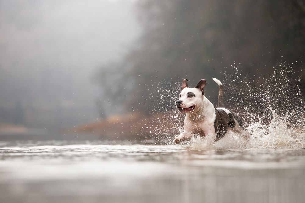 Photograph by Julia Laatz