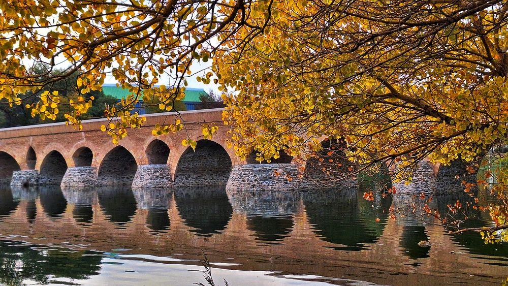 Photograph by Sina Saadati