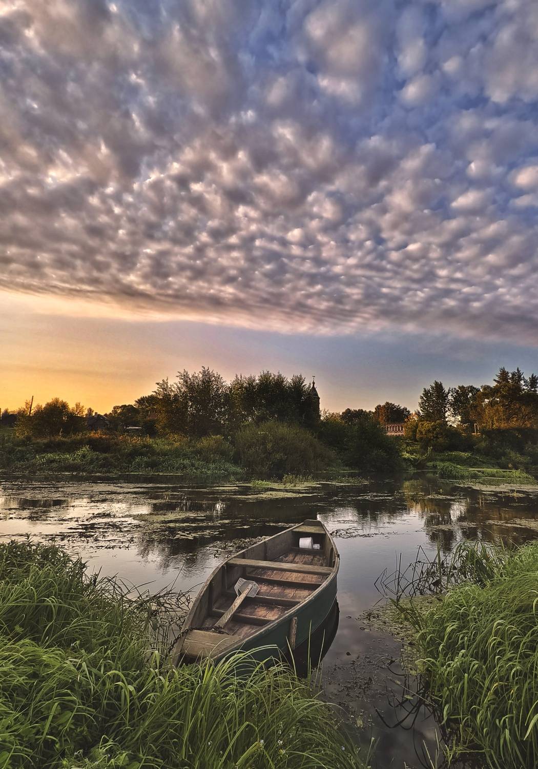 Photo #13355572