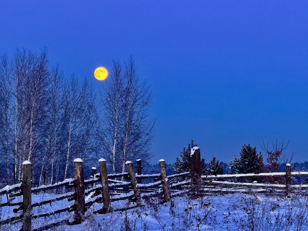 Photograph by Сергей Смирнов