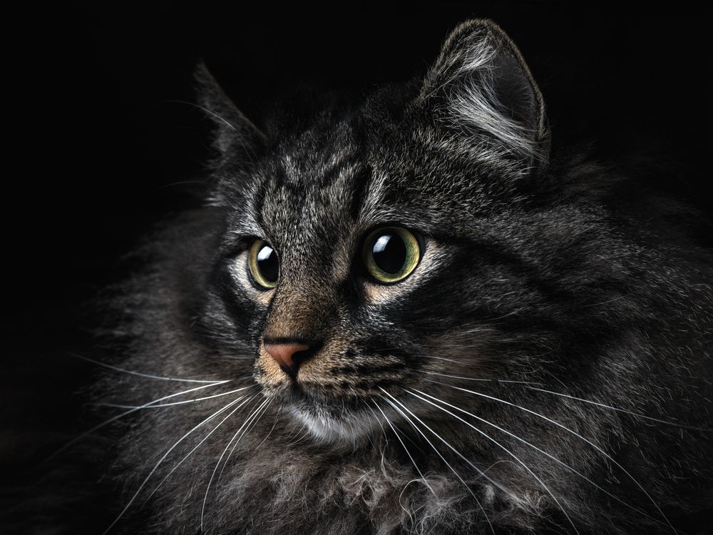 Photograph by Evgeniy Savikov