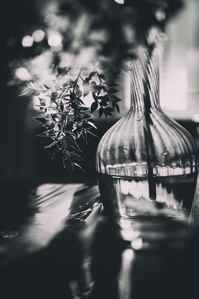 Photograph by Yadviga Albrekht