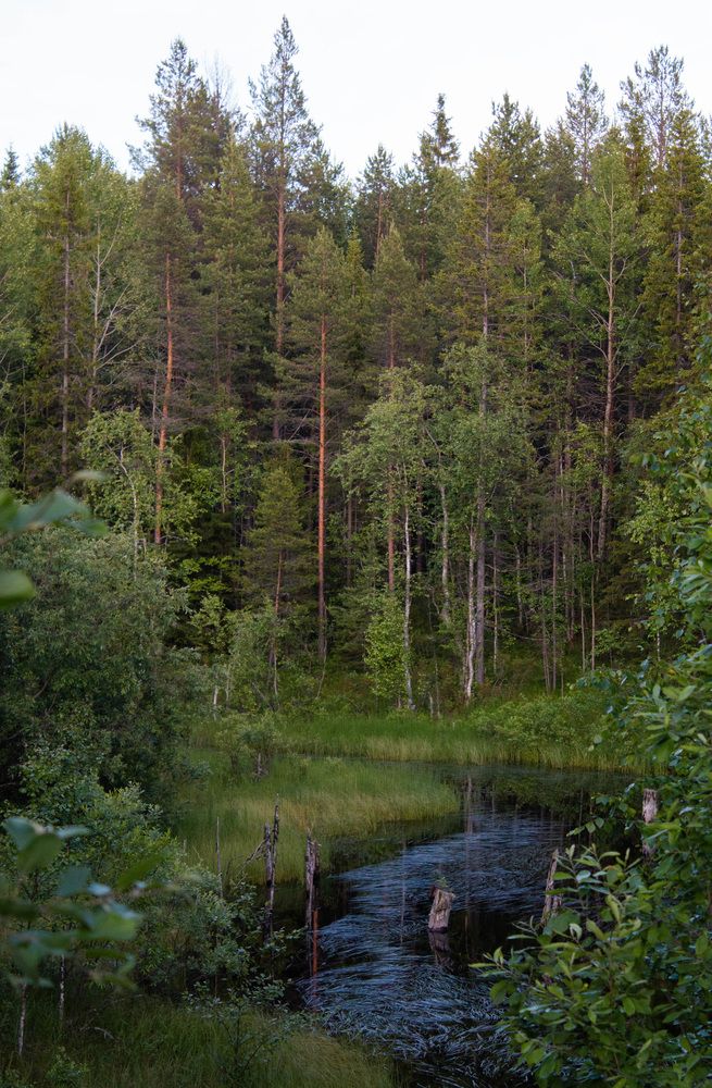 Photograph by Анастасия Красикова