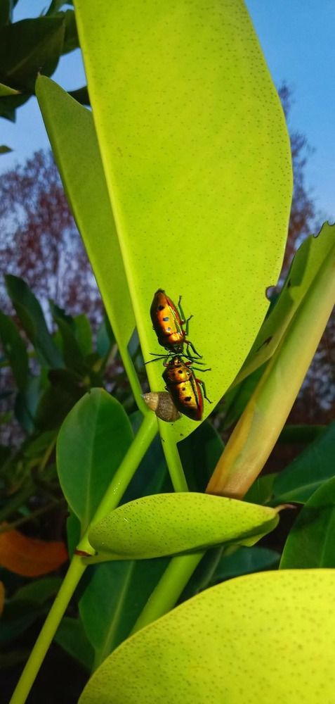 Photograph by Jefferson Ladua