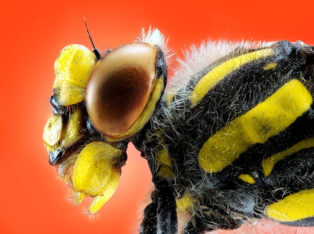 Photograph by Pedro Luis Ajuriaguerra Saiz