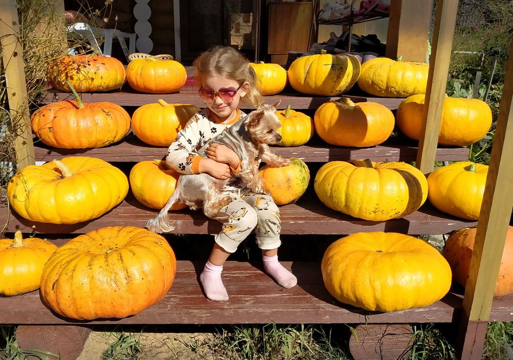 Photograph by вячеслав милов