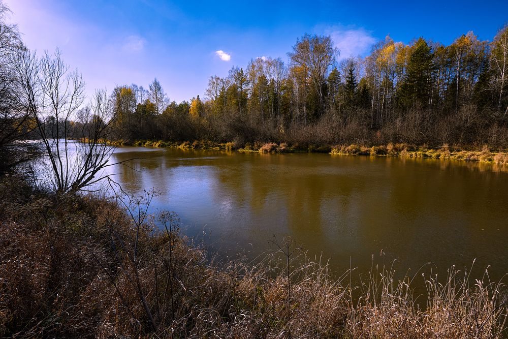 Полдень у осенней реки.