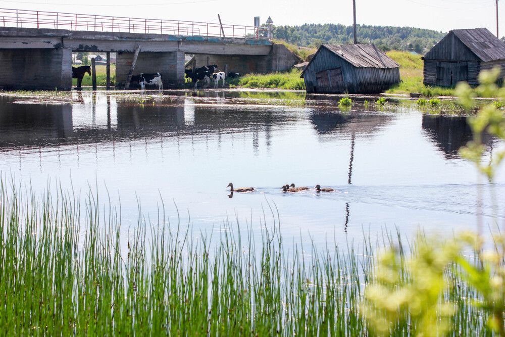 Photograph by Анастасия Красикова
