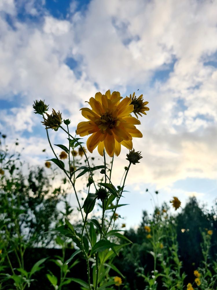 Photograph by Наталья Черепкова