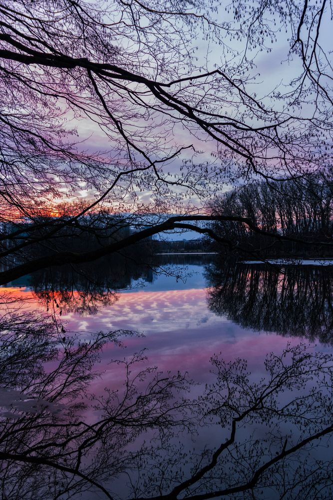 Photograph by Татьяна Бычкова