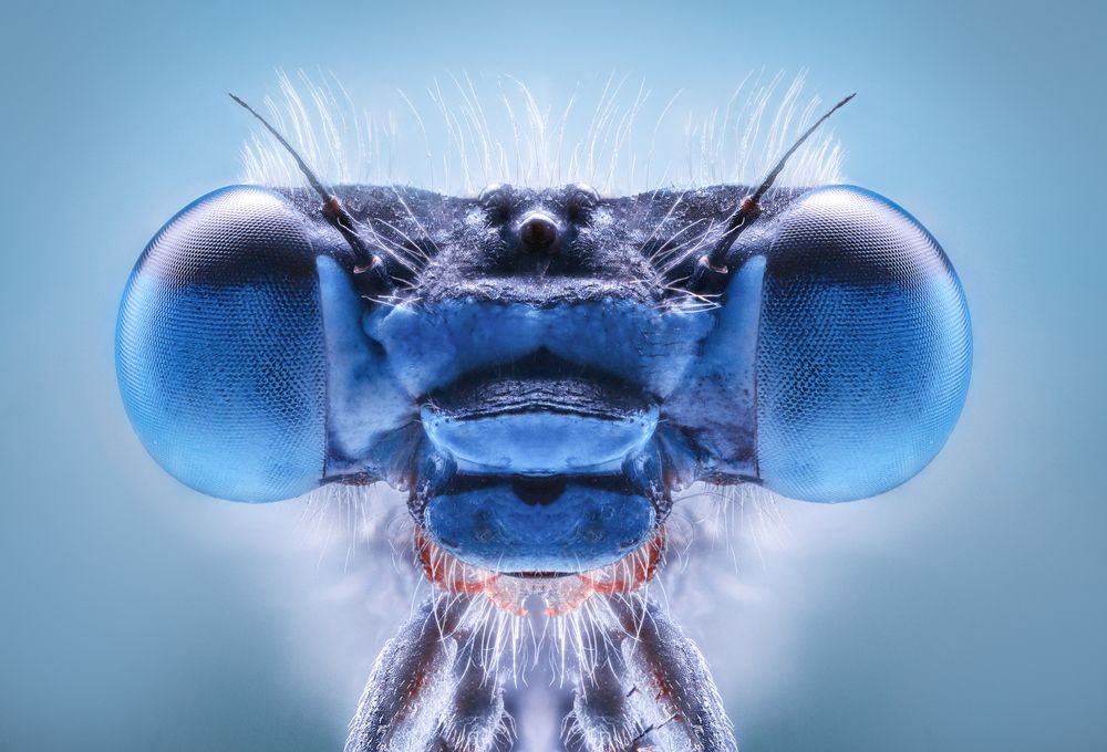 Photograph by Pedro Luis Ajuriaguerra Saiz