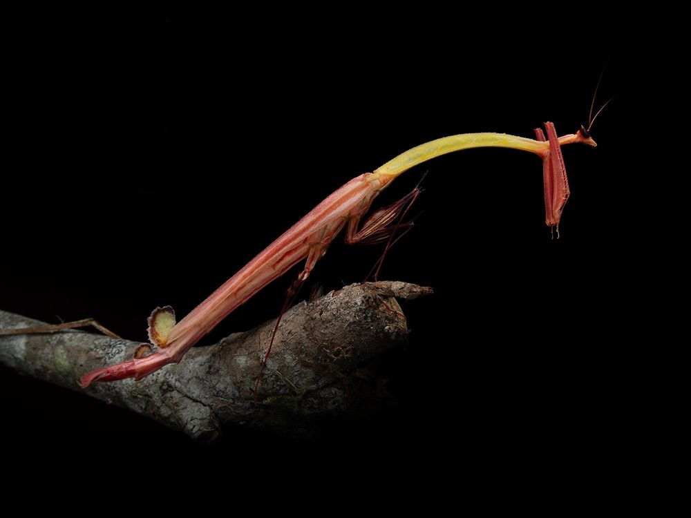 Photograph by TAN LING ZI