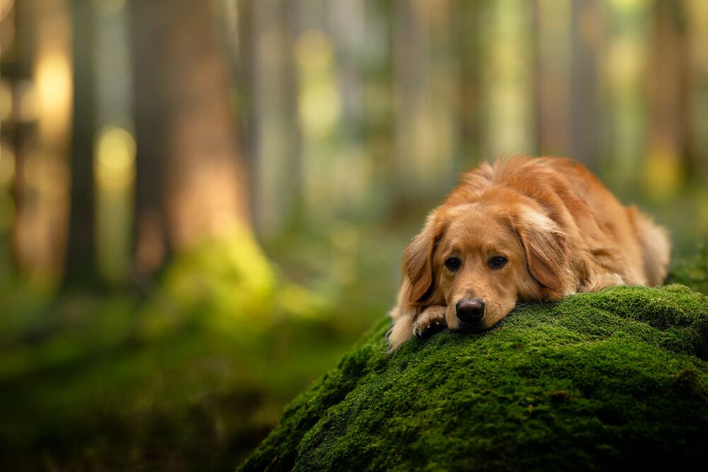 Photograph by Maja Esch