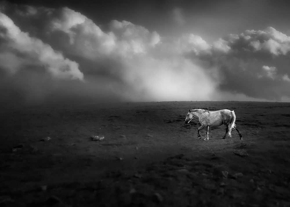 Photograph by Бобчева Веселина