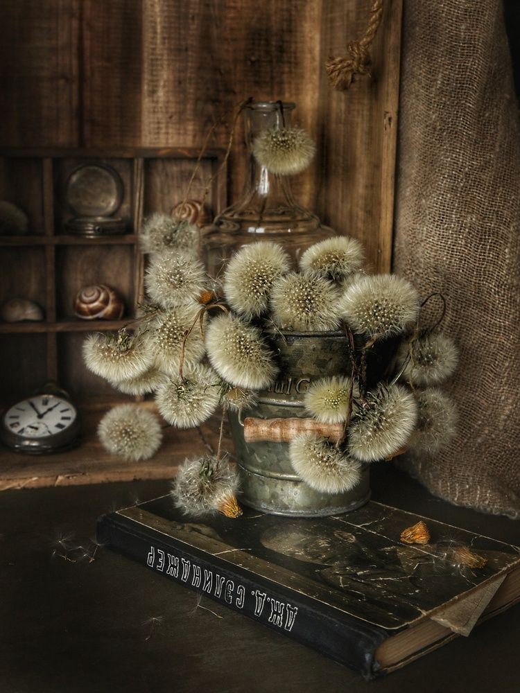 Photograph by Angelica Medvedeva