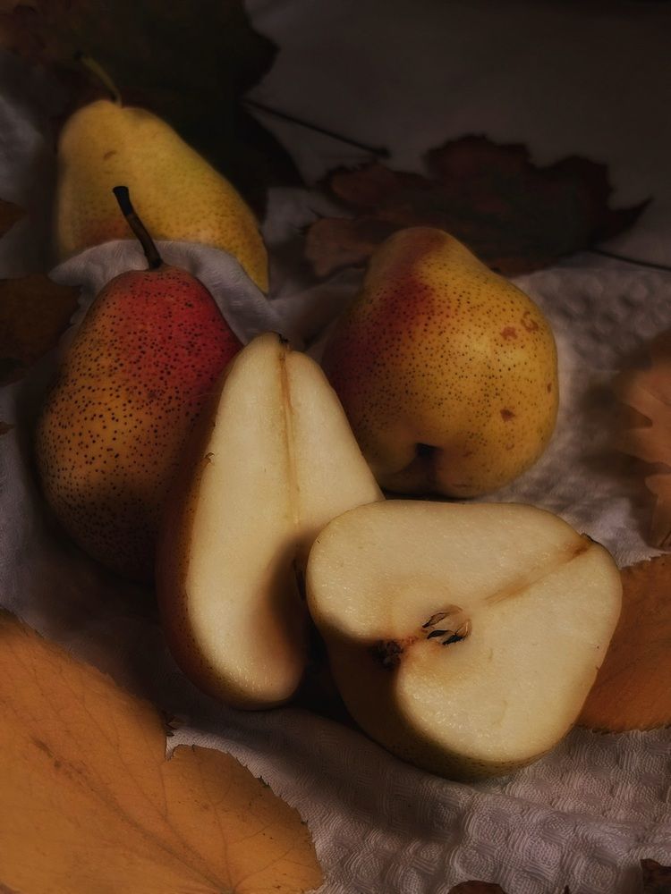 Натюрморт