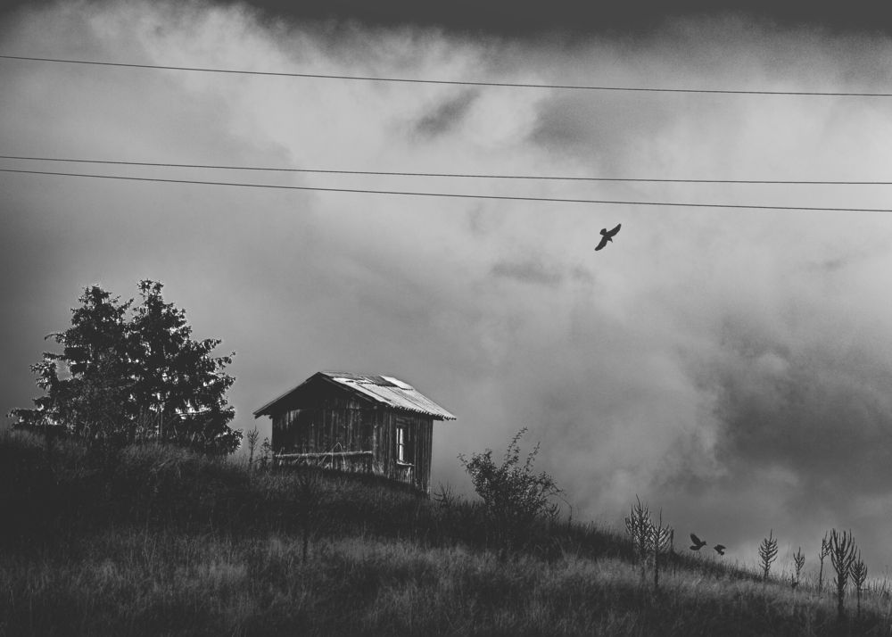 Photograph by Бобчева Веселина