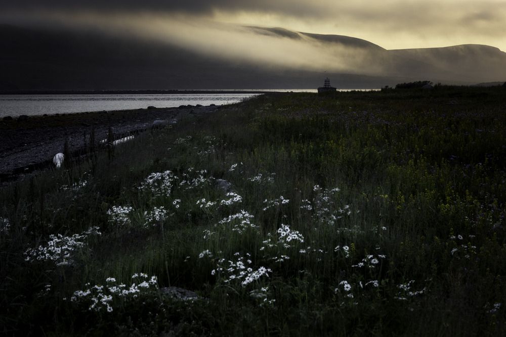 Photograph by Elena Mogilevich