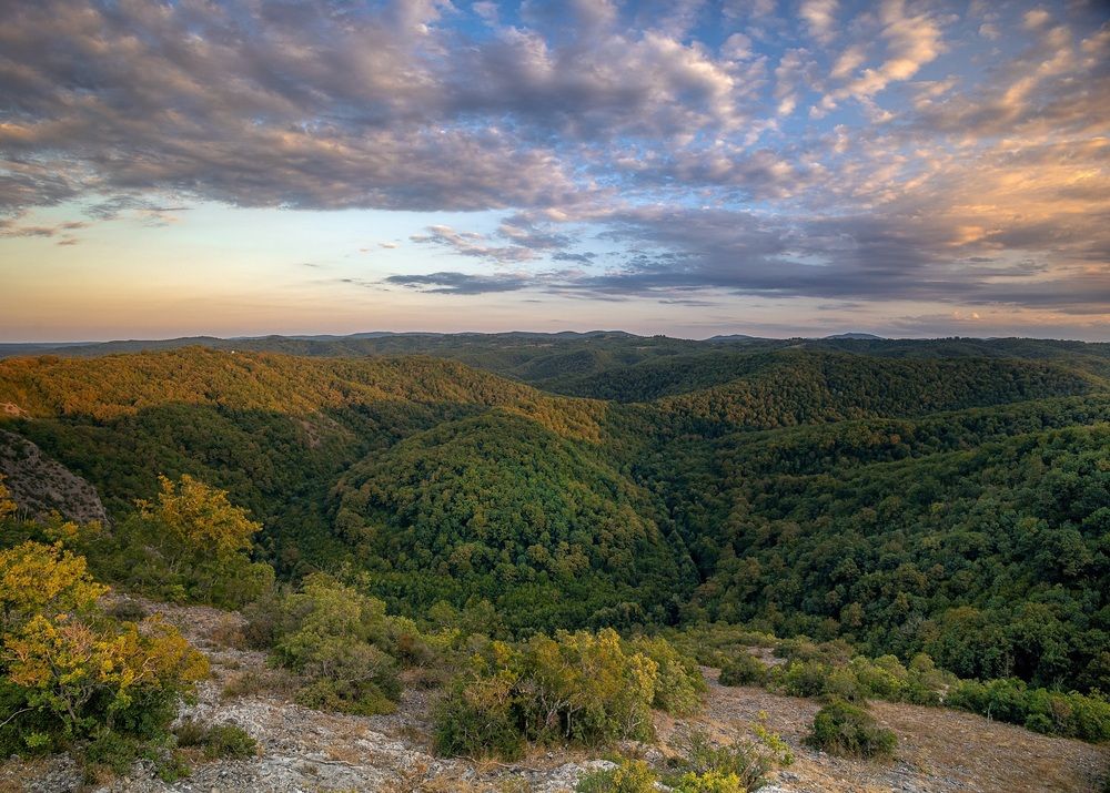 Photograph by Бобчева Веселина