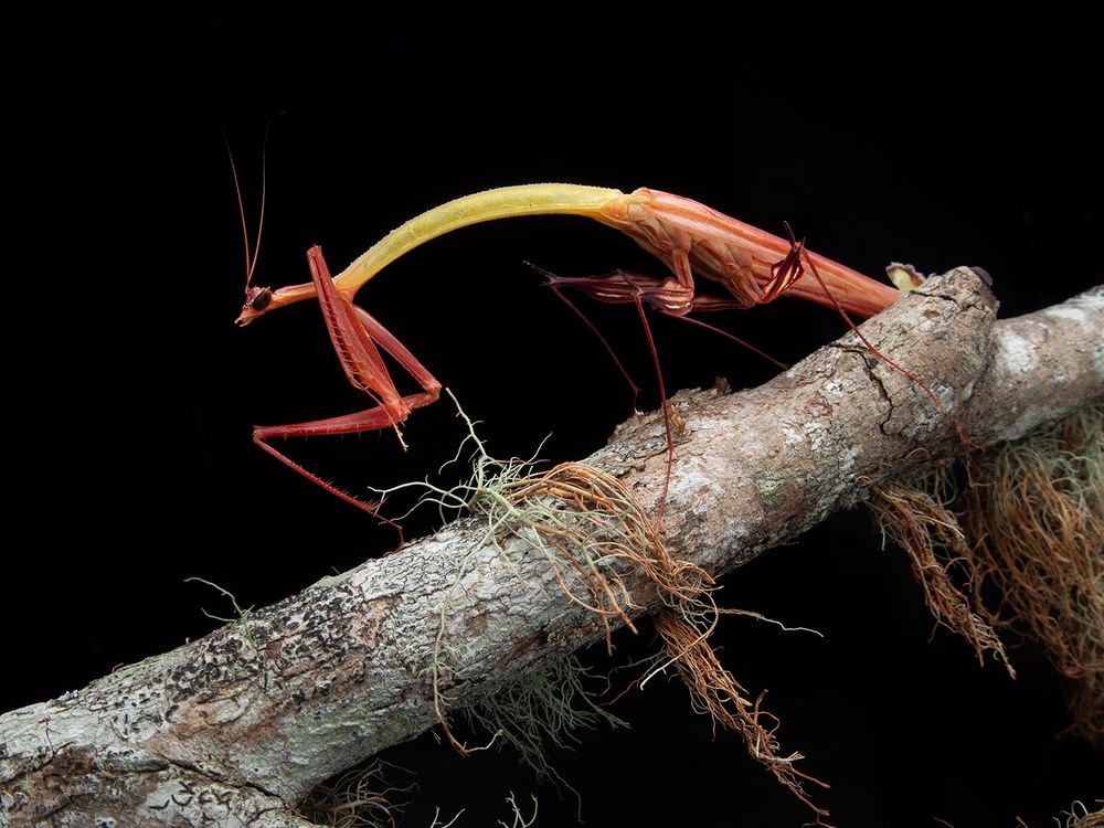 Photograph by TAN LING ZI