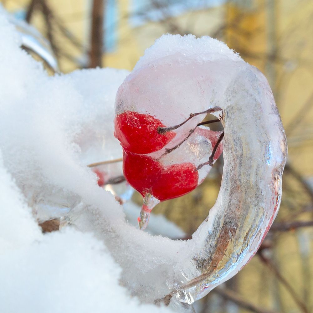 Photograph by Ельцов Владимир