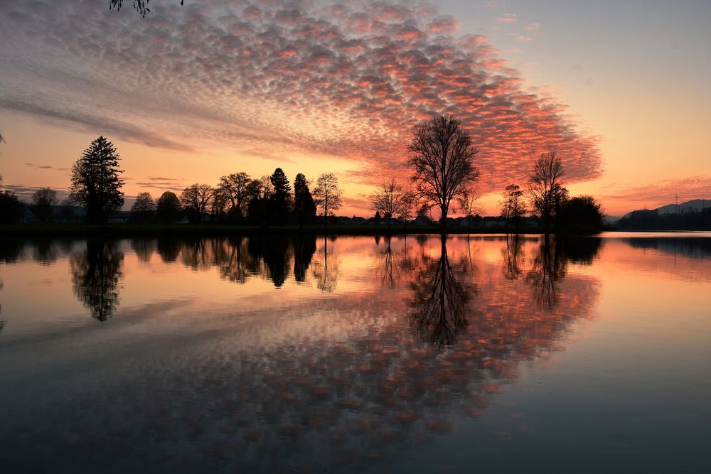 Фотография автора Wymann Elena