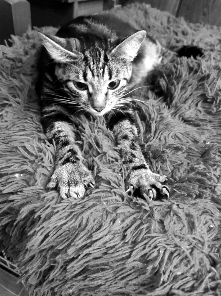 Photograph by Мария Лаврухина