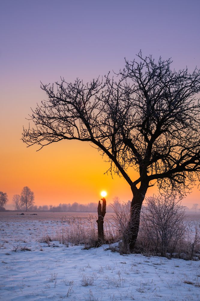 Photograph by Michał
