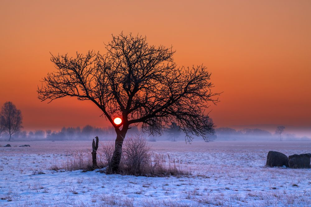 Photograph by Michał