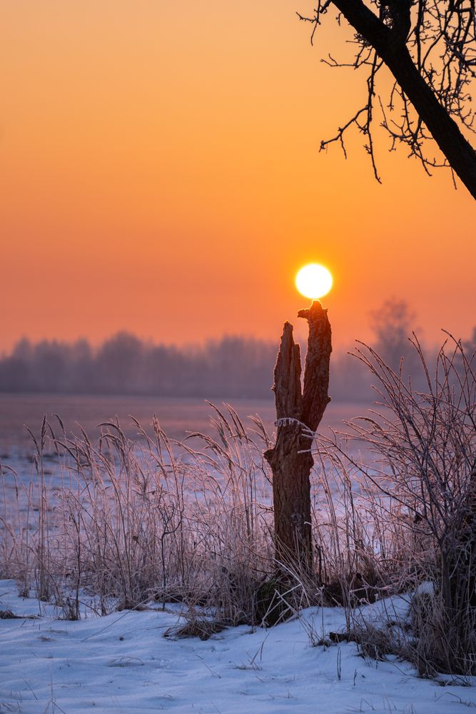 Photograph by Michał
