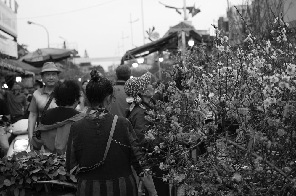 Photograph by Toàn Minh