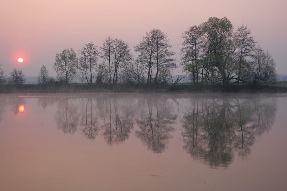 Фотография автора Станислав