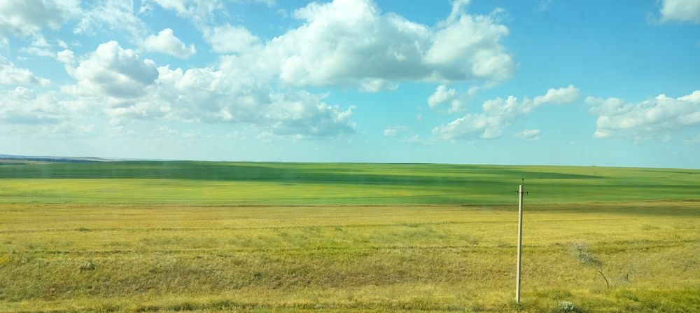 Photograph by Darya Dolinina