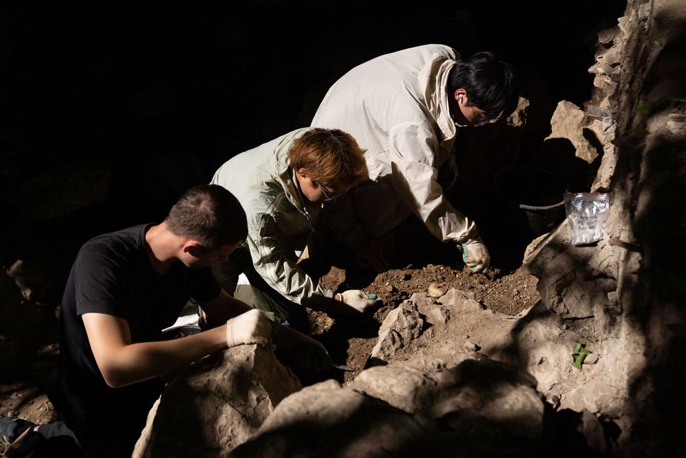 Фотография #13356253