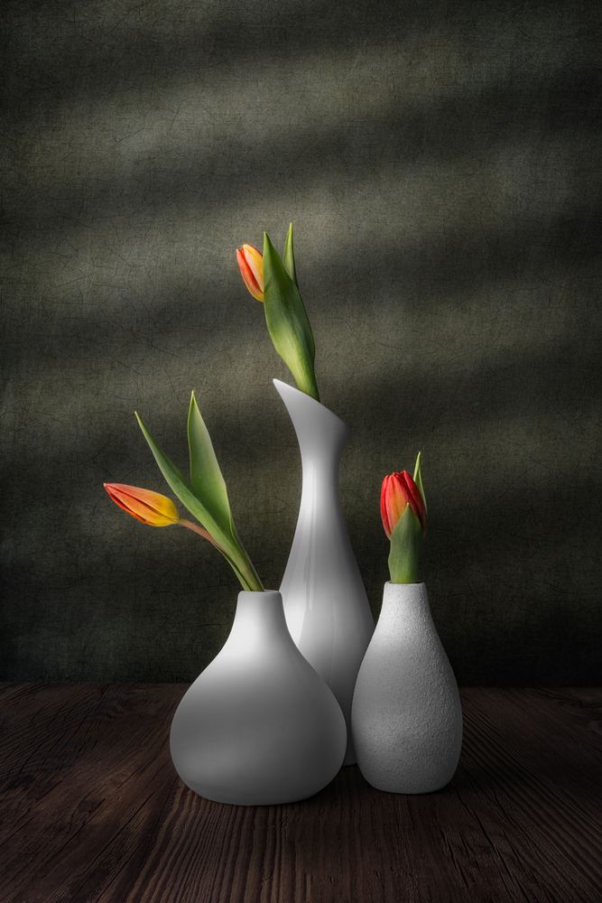 Photograph by Marko Klavs