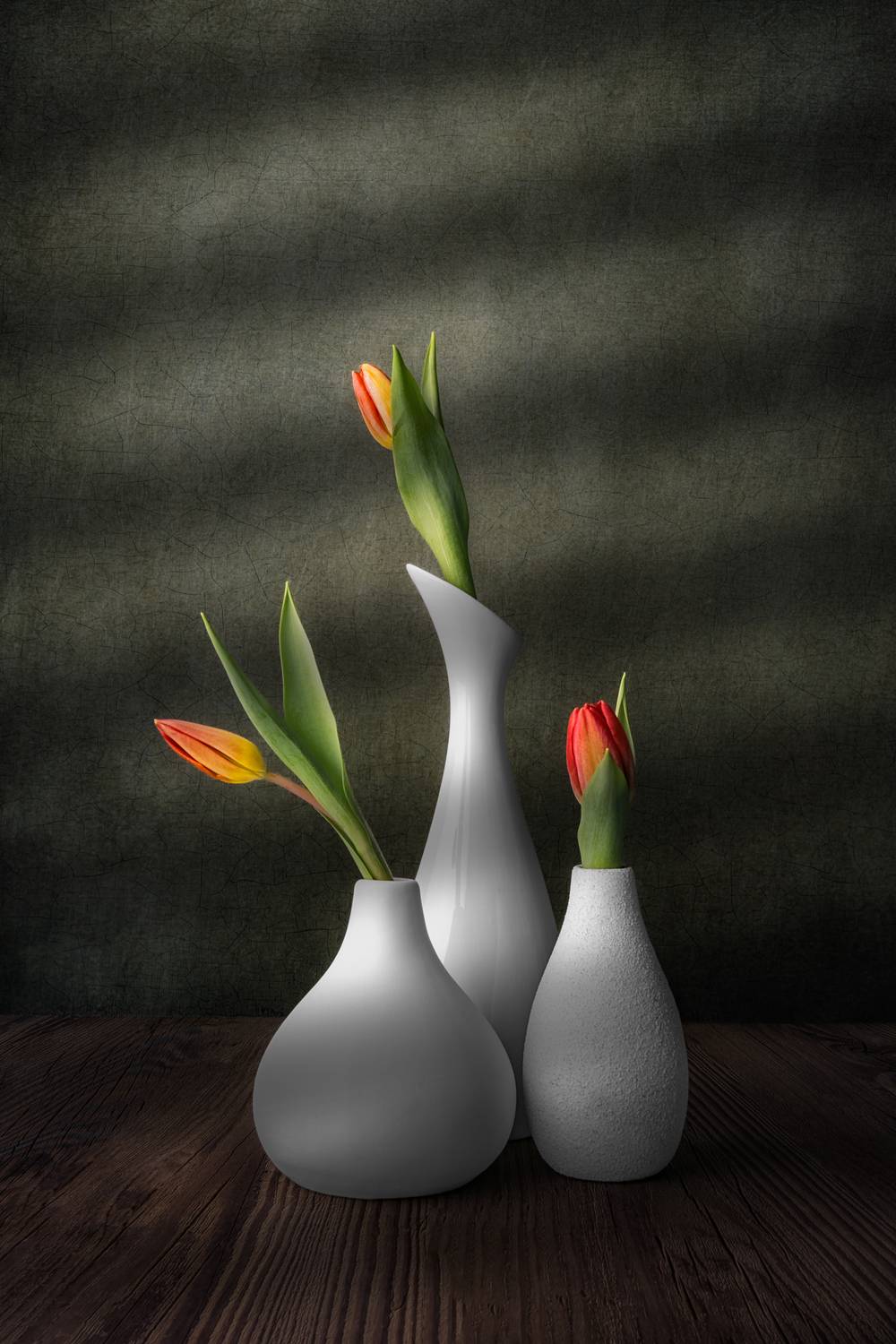 Фотография #13356260