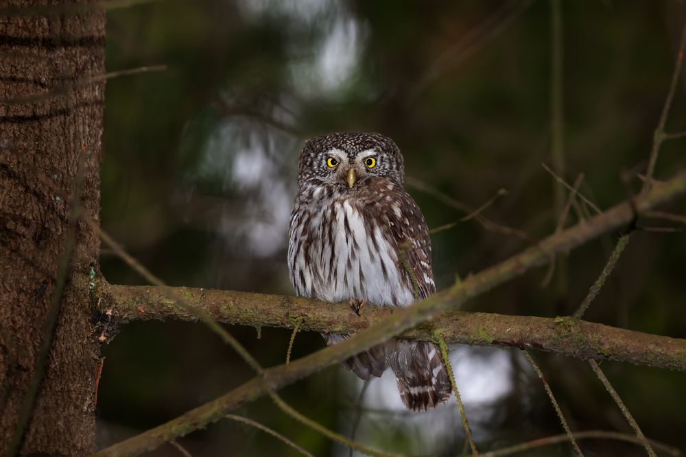 Photograph by Edward Mongin