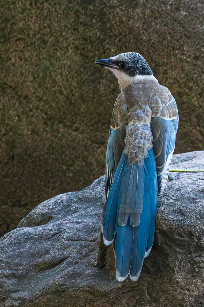 Photograph by Alexei Kriptozoy