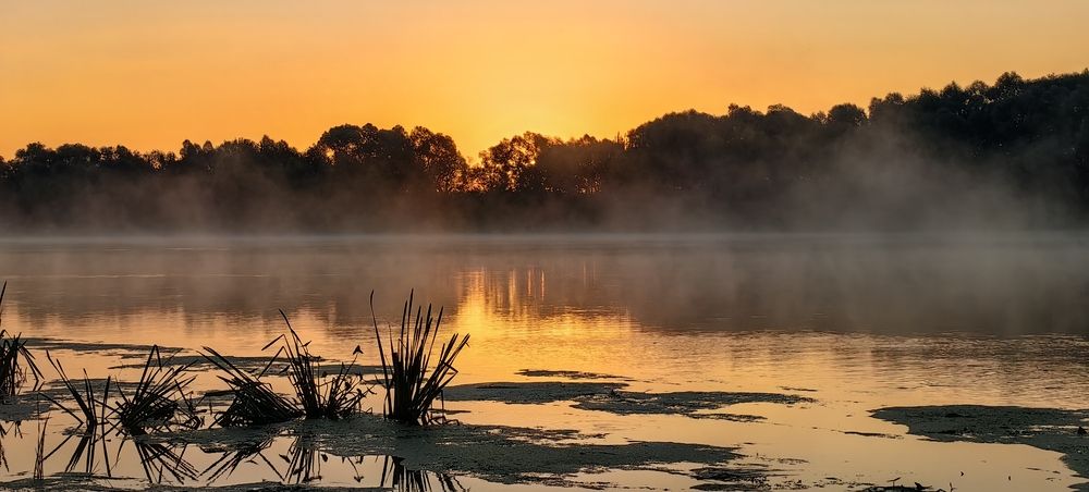 Photograph by Татьяна Котова