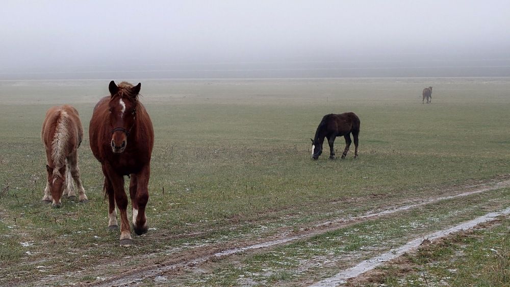 Photo #13356359