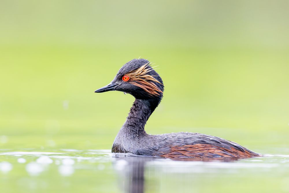 Photograph by Гукасян Геворк