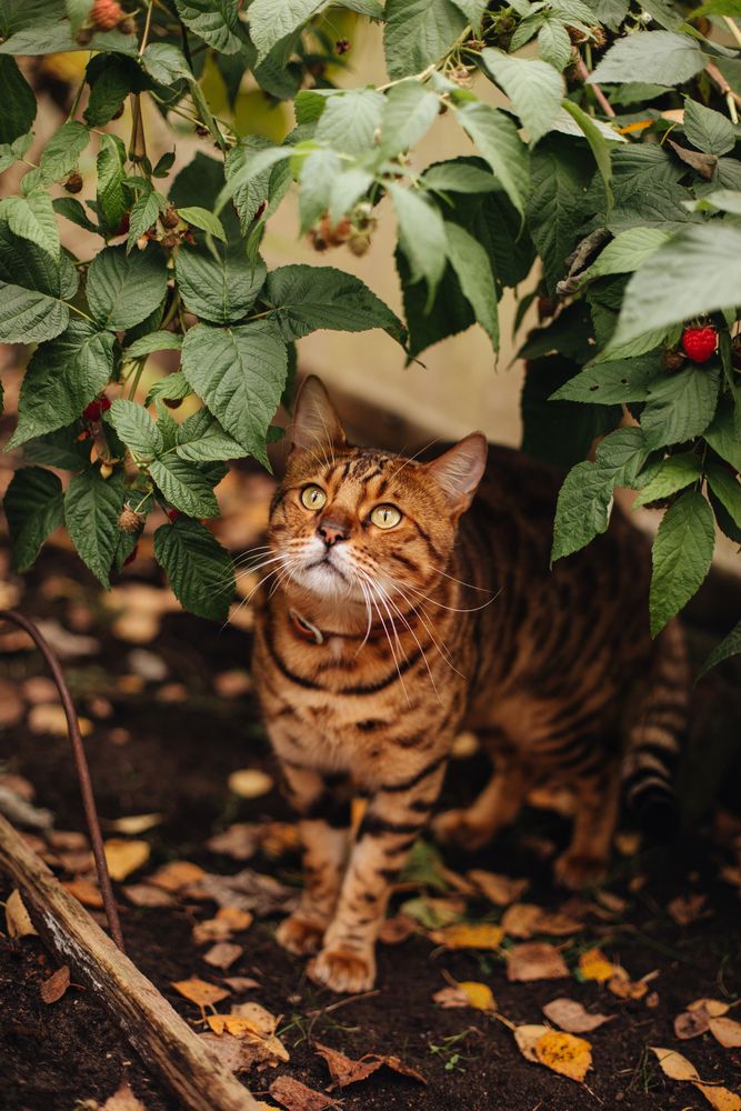 Photograph by Светлана Евдакова