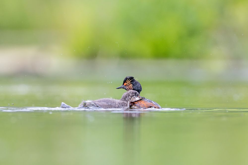 Photograph by Гукасян Геворк