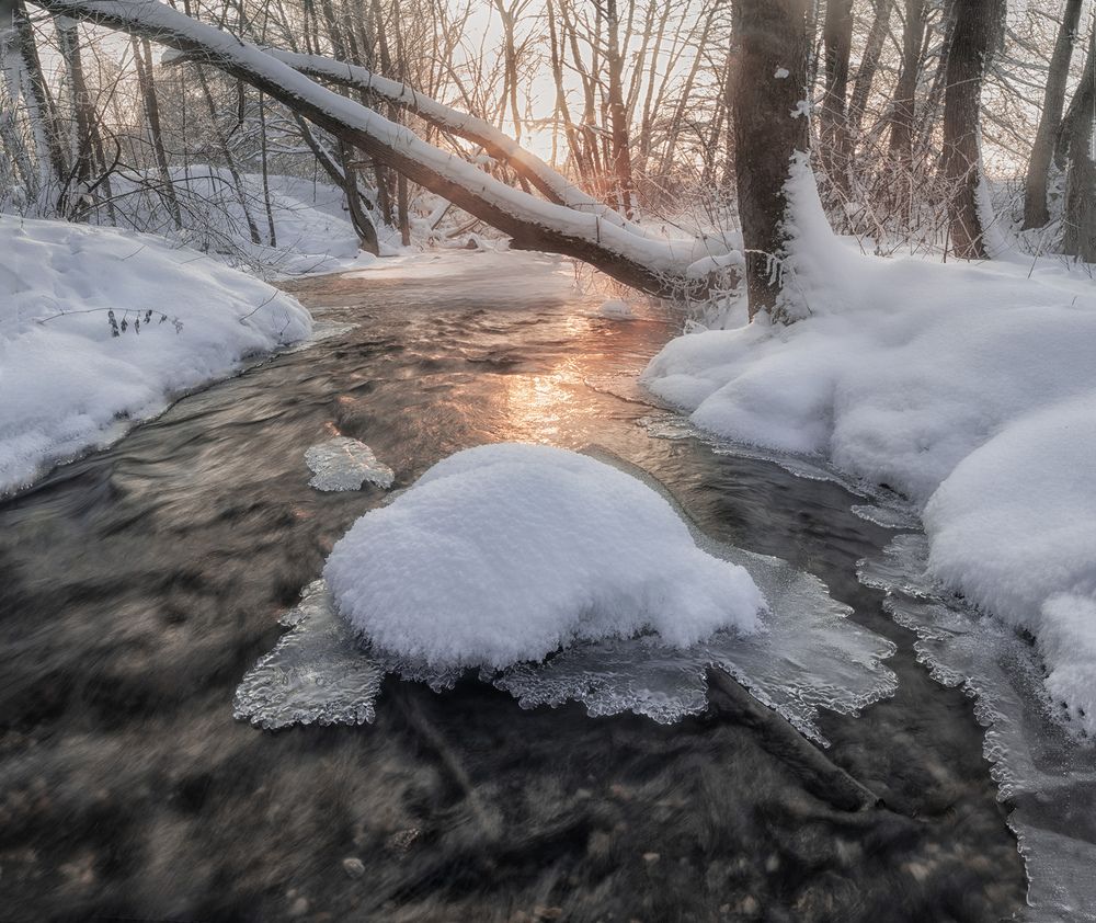 Photograph by Silyavin Nikita