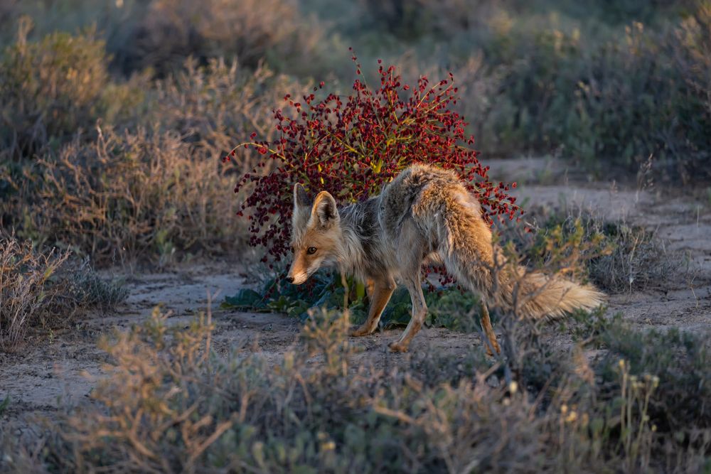 Photograph by Edward Mongin