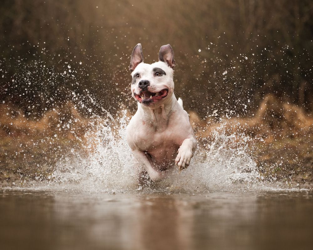 Photograph by Julia Laatz