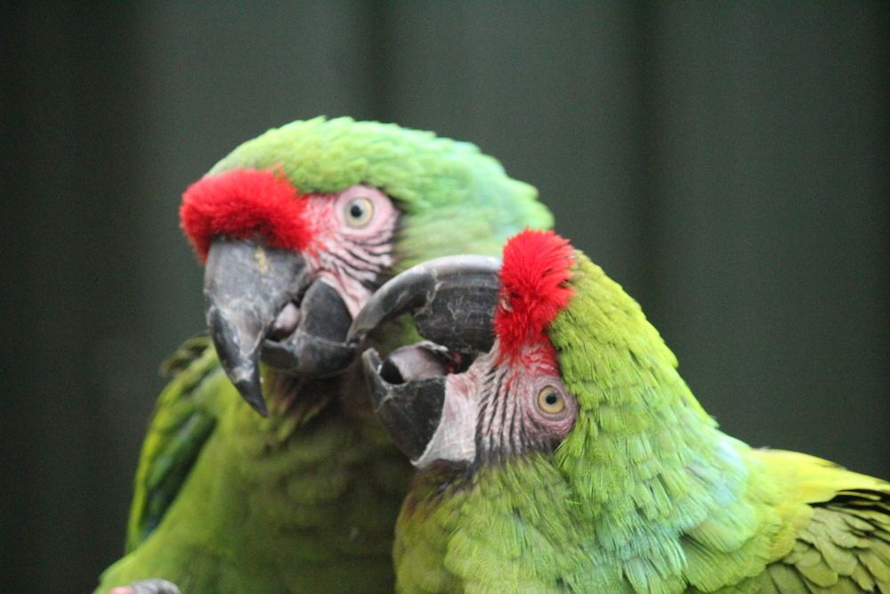 Photograph by Sharad vadoliya