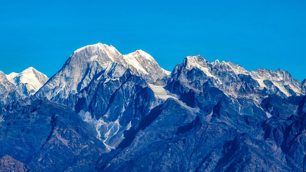 Where the wild things breathe.